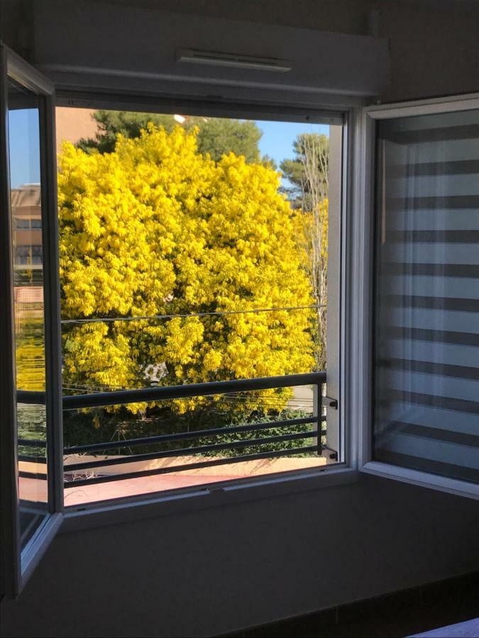 Appart' Au Port Apartment Fréjus Exterior foto